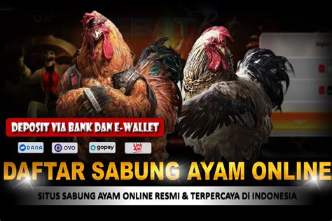 situs sabung ayam live